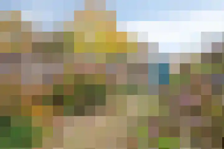 Venuslaan 401 Eindhoven thumbnail 24