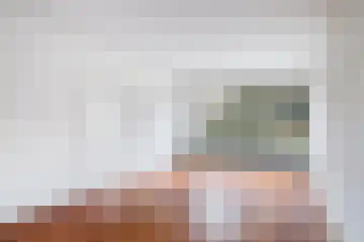 Venuslaan 401 Eindhoven thumbnail 6