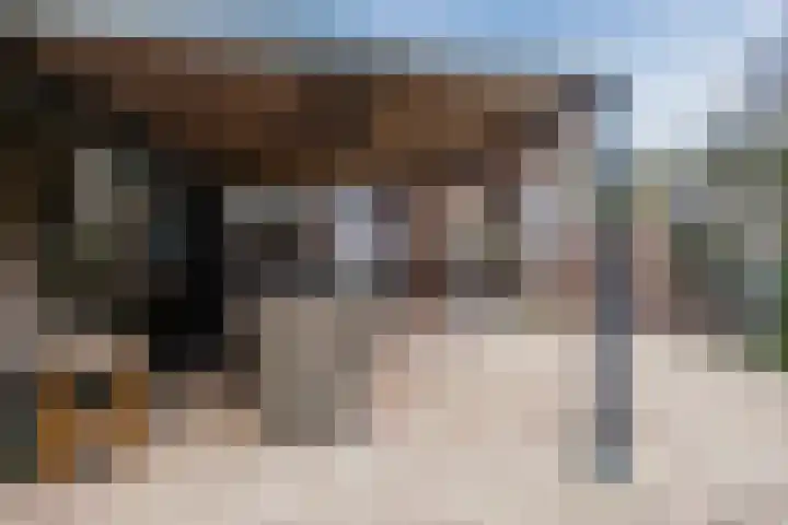 Venuslaan 403 Eindhoven thumbnail 23