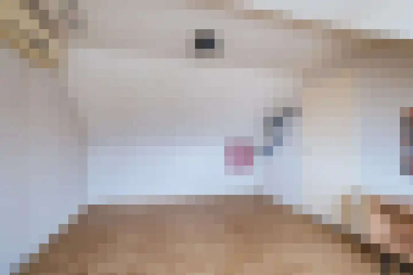 Venuslaan 403 Eindhoven thumbnail 24