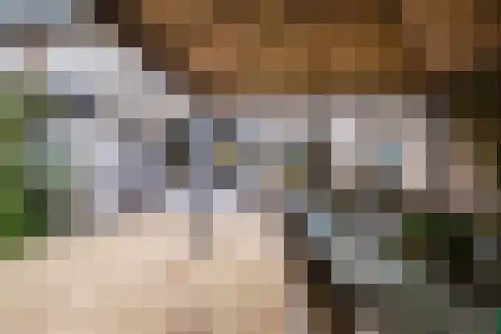 Venuslaan 403 Eindhoven thumbnail 24