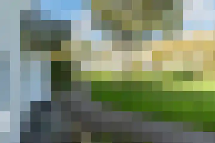 Venuslaan 403 Eindhoven thumbnail 29