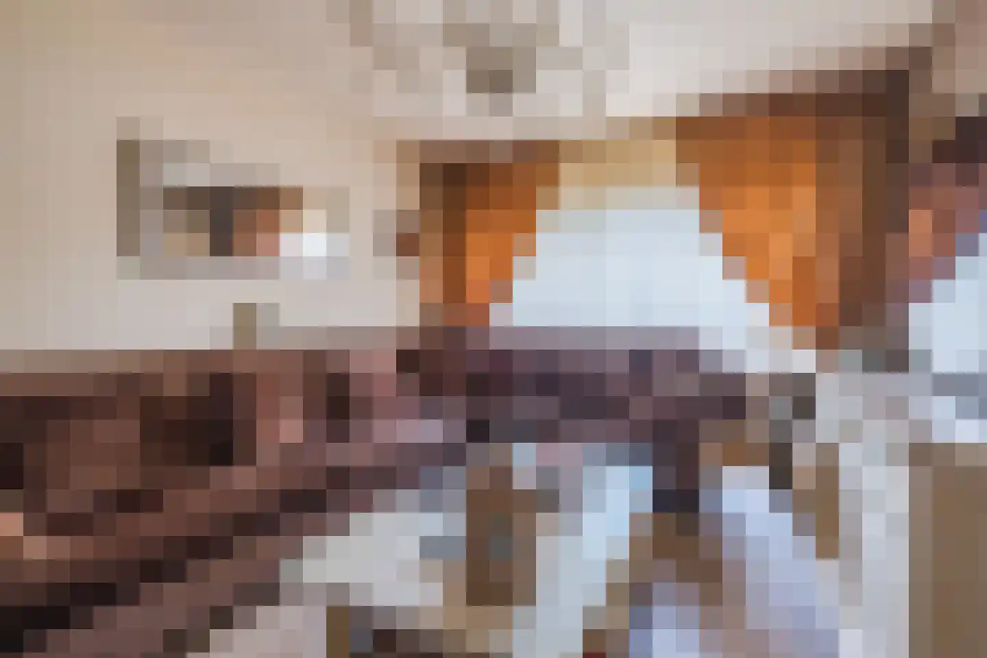 Venuslaan 403 Eindhoven thumbnail 5