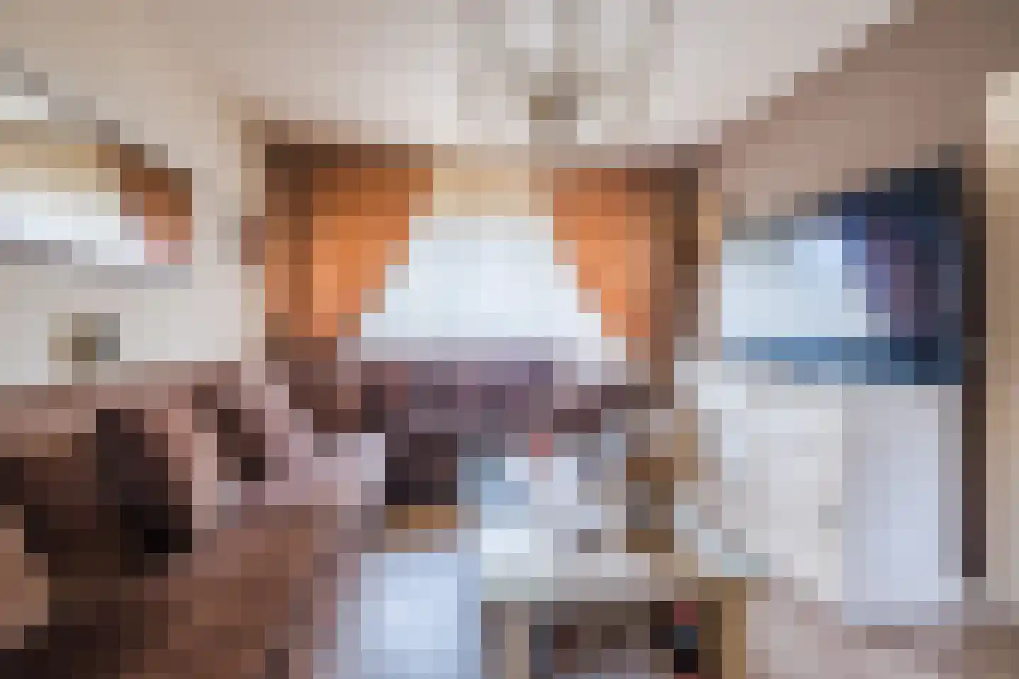 Venuslaan 403 Eindhoven thumbnail 6