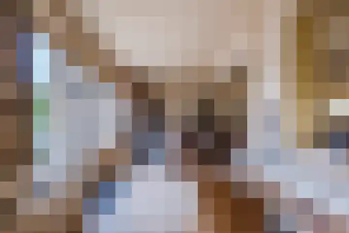 Venuslaan 403 Eindhoven thumbnail 8