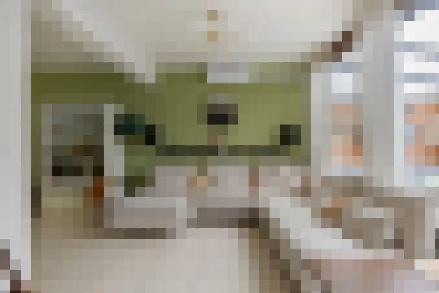 Venuslaan 447 Eindhoven thumbnail 12