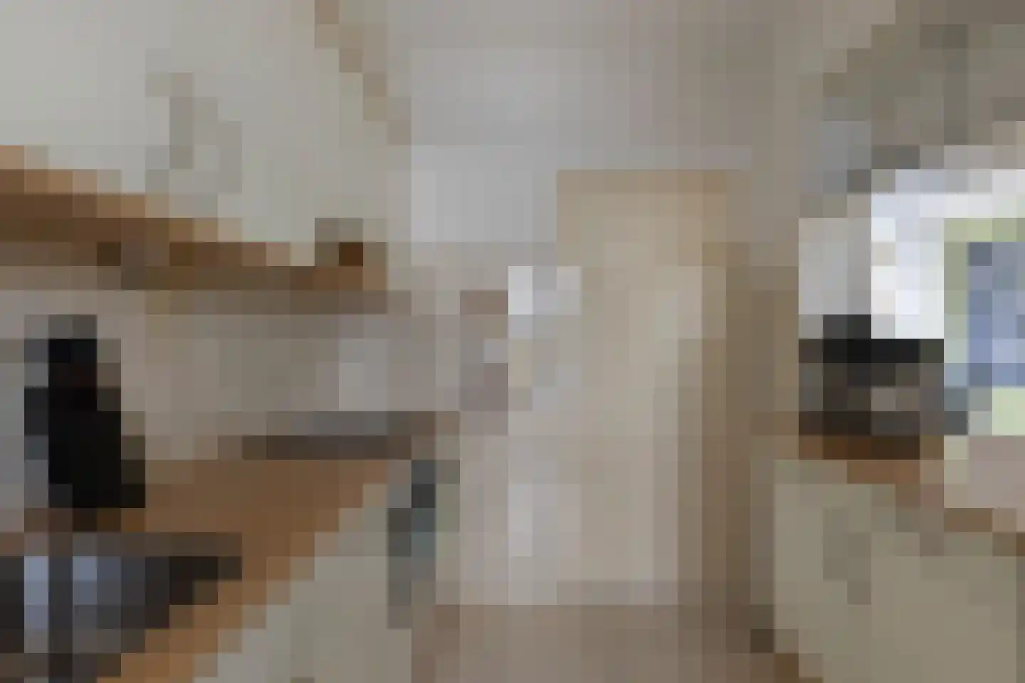 Venuslaan 447 Eindhoven thumbnail 17