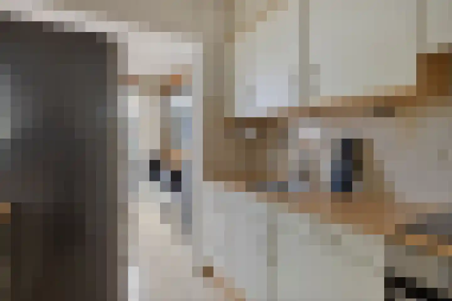 Venuslaan 447 Eindhoven thumbnail 18