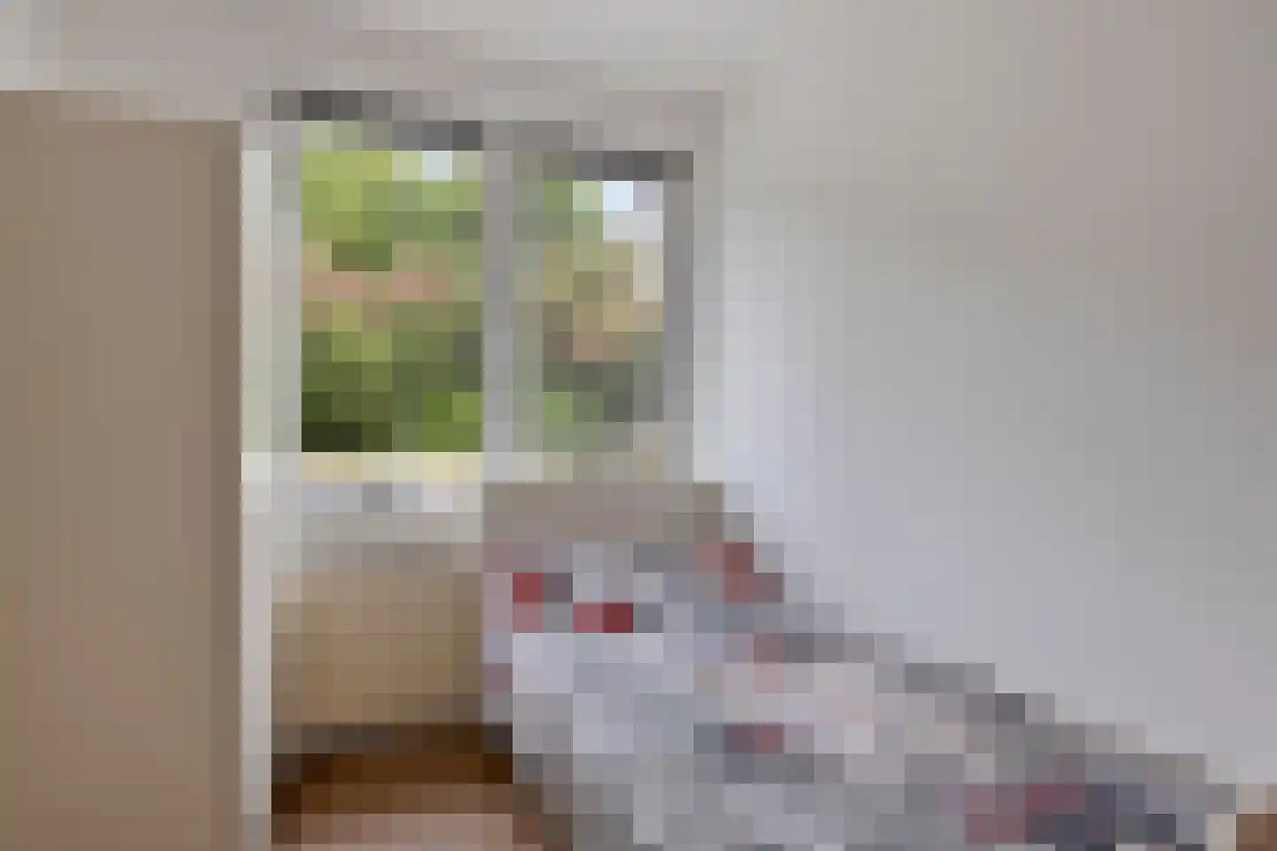 Venuslaan 447 Eindhoven thumbnail 24