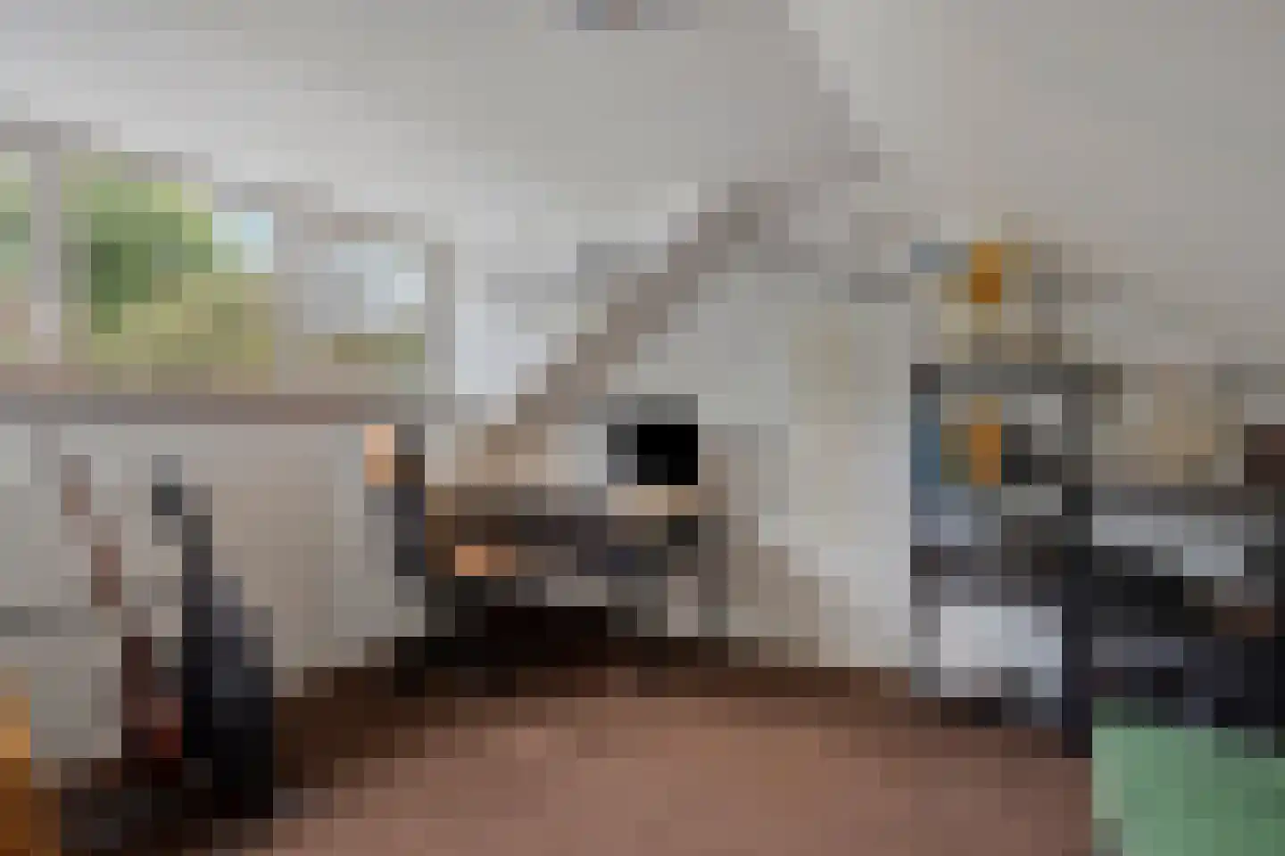 Venuslaan 447 Eindhoven thumbnail 28