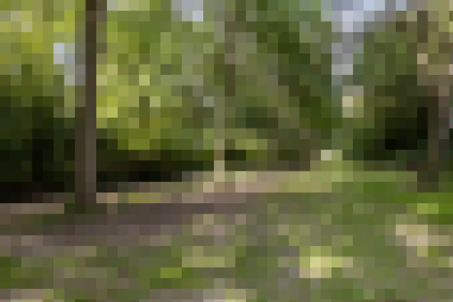 Venuslaan 447 Eindhoven thumbnail 39