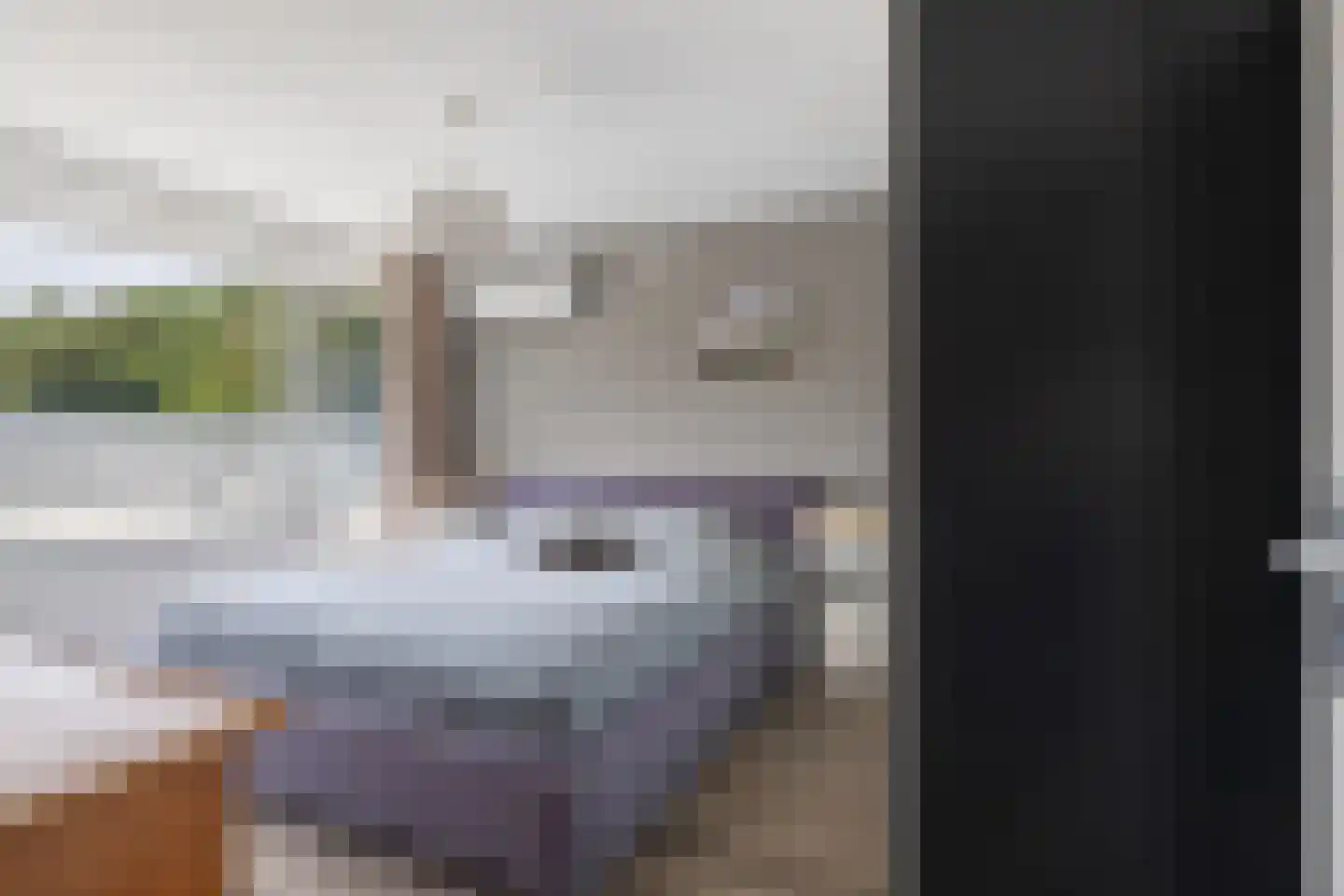 Venuslaan 495 Eindhoven thumbnail 17