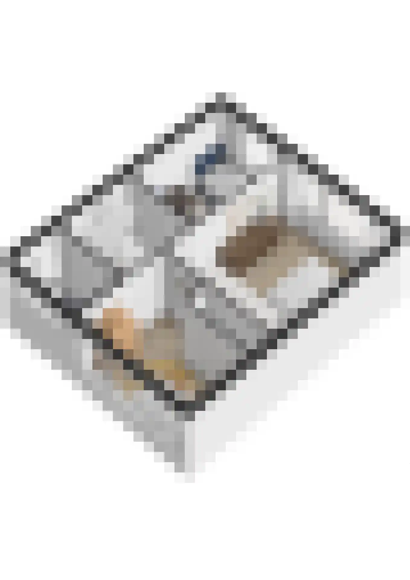 Venuslaan 495 Eindhoven thumbnail 33