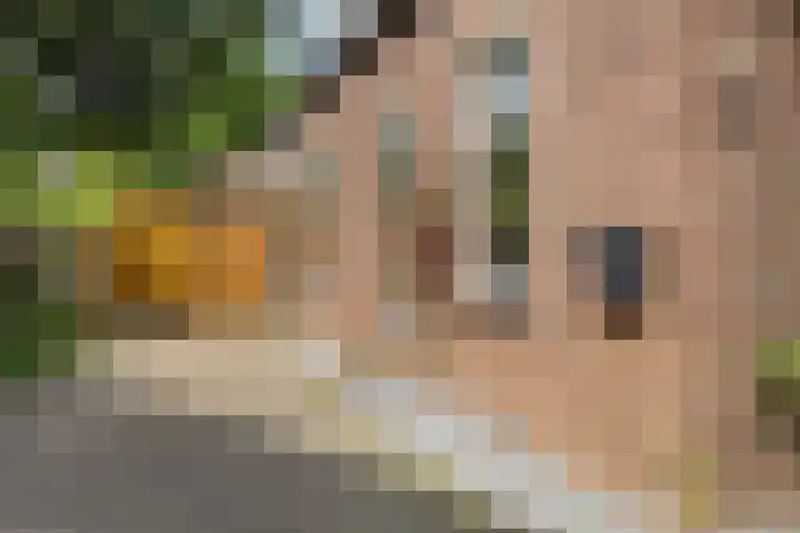 Venuslaan 5 Apeldoorn thumbnail 26