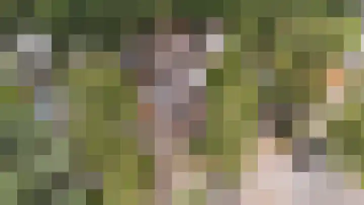 Venuslaan 5 Apeldoorn thumbnail 31