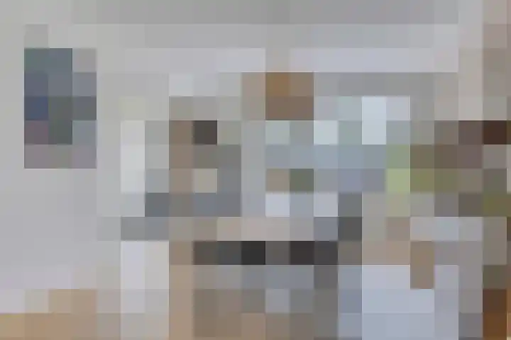 Venuslaan 5 Son en Breugel thumbnail 10