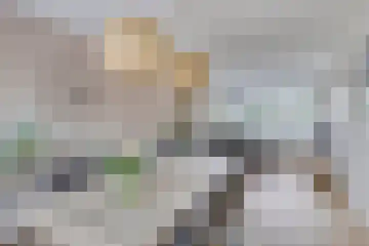 Venuslaan 5 Son en Breugel thumbnail 11