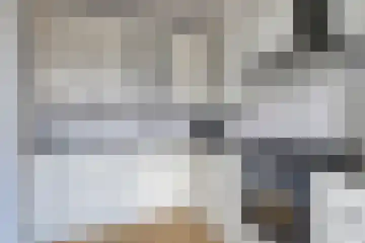 Venuslaan 5 Son en Breugel thumbnail 14