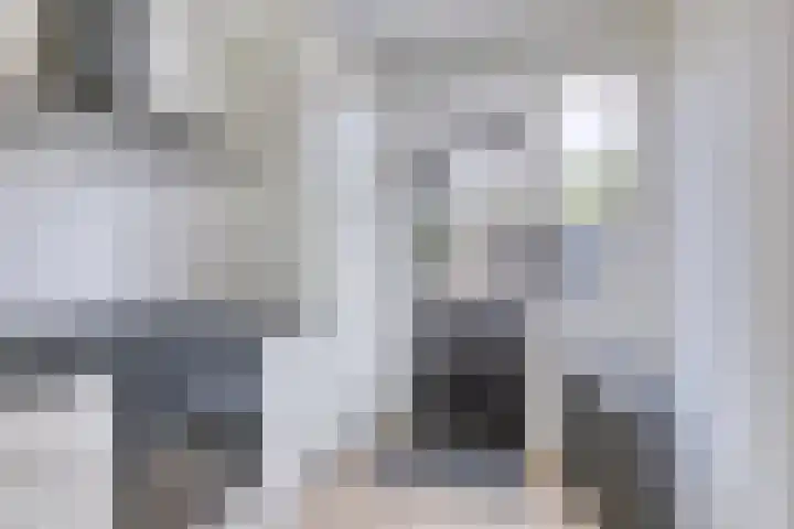 Venuslaan 5 Son en Breugel thumbnail 15