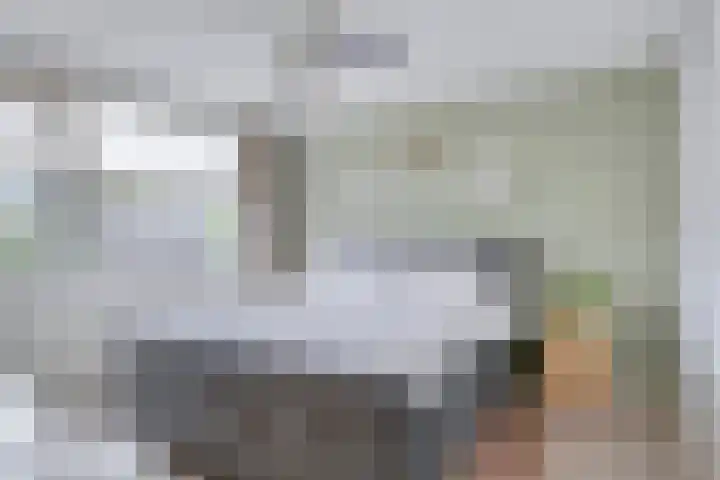 Venuslaan 5 Son en Breugel thumbnail 17