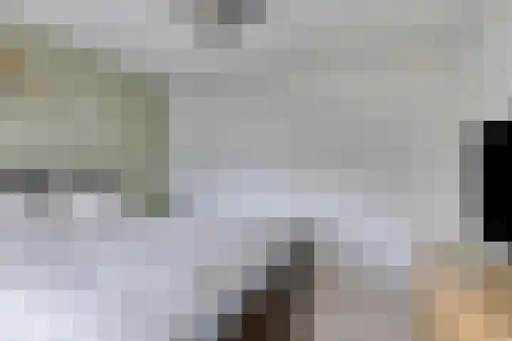 Venuslaan 5 Son en Breugel thumbnail 18