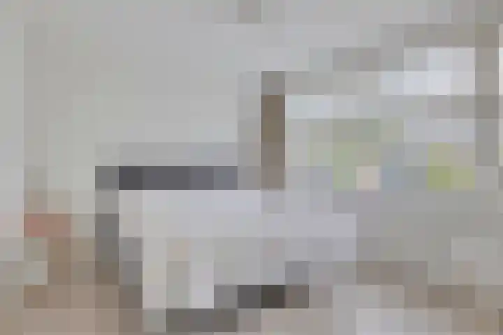 Venuslaan 5 Son en Breugel thumbnail 19