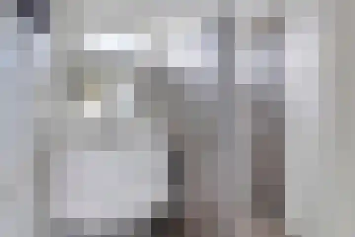 Venuslaan 5 Son en Breugel thumbnail 20