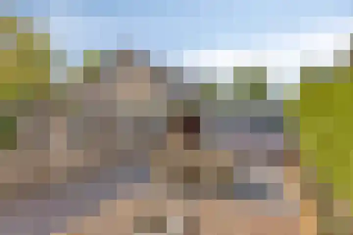 Venuslaan 5 Son en Breugel thumbnail 27