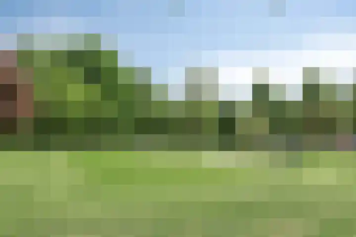 Venuslaan 5 Son en Breugel thumbnail 31