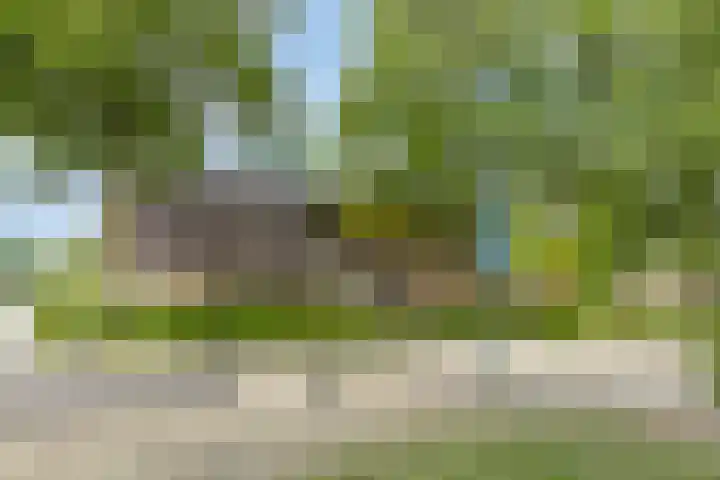 Venuslaan 5 Son en Breugel thumbnail 32