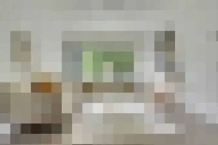 Venuslaan 507 Eindhoven thumbnail 11