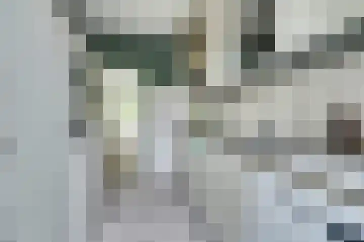 Venuslaan 507 Eindhoven thumbnail 16