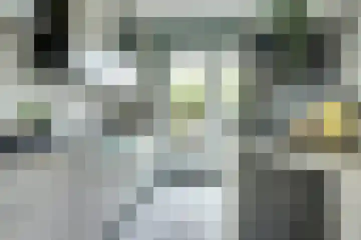 Venuslaan 507 Eindhoven thumbnail 17