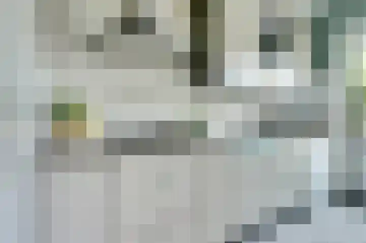 Venuslaan 507 Eindhoven thumbnail 18