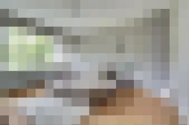Venuslaan 507 Eindhoven thumbnail 20