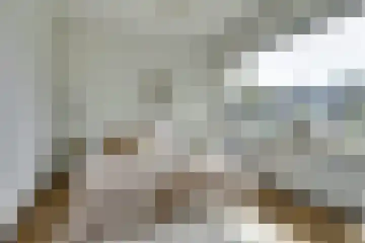 Venuslaan 507 Eindhoven thumbnail 22