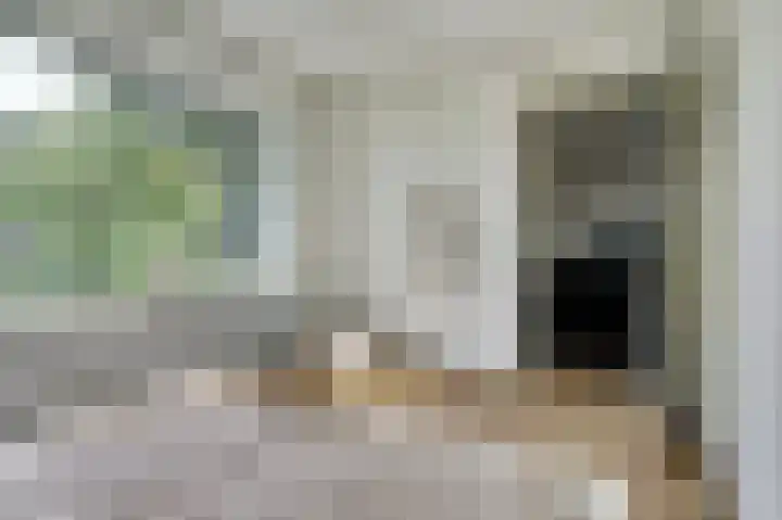Venuslaan 507 Eindhoven thumbnail 23