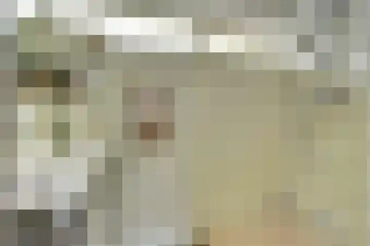 Venuslaan 507 Eindhoven thumbnail 25