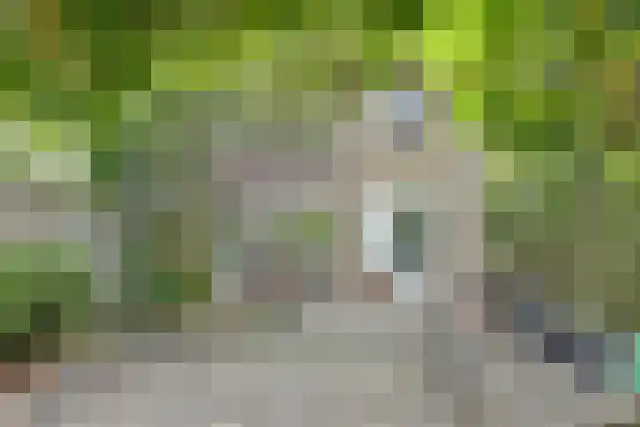 Venuslaan 507 Eindhoven thumbnail 33