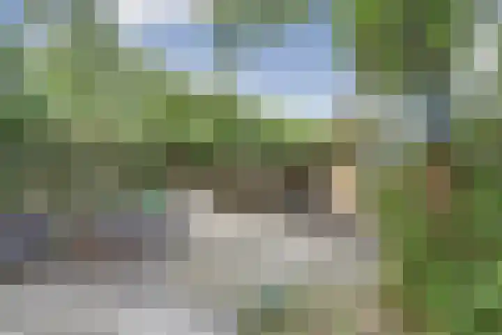 Venuslaan 507 Eindhoven thumbnail 5