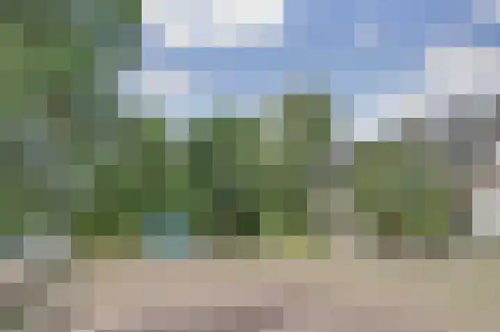 Venuslaan 507 Eindhoven thumbnail 6