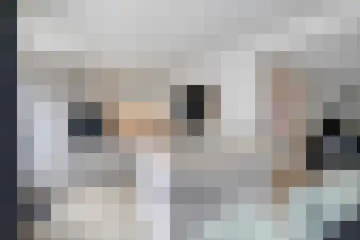 Venuslaan 525 Eindhoven thumbnail 11