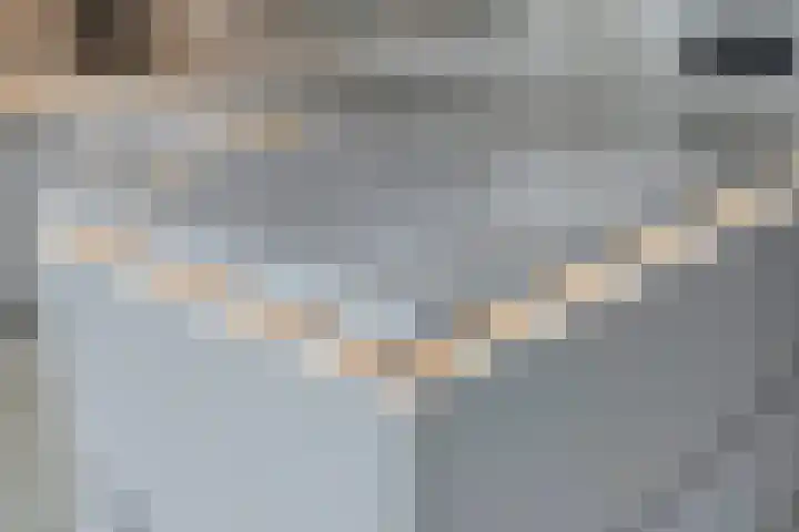 Venuslaan 525 Eindhoven thumbnail 12
