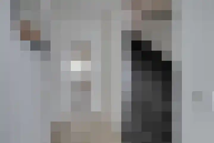 Venuslaan 525 Eindhoven thumbnail 17