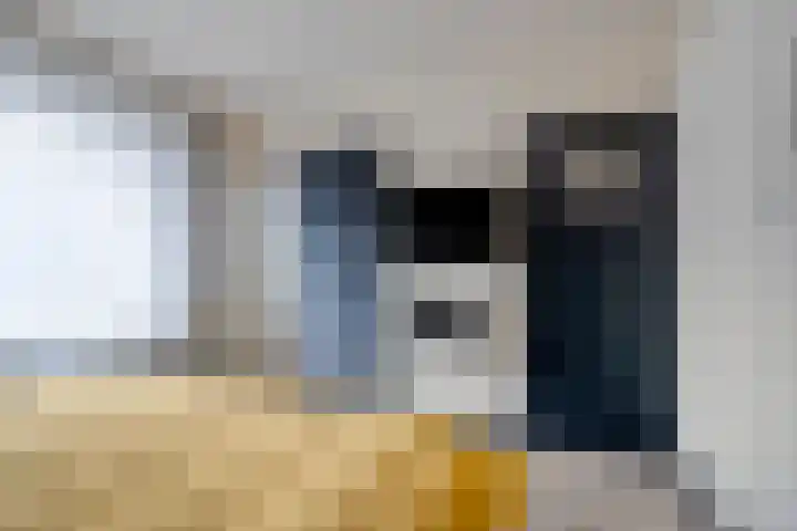 Venuslaan 525 Eindhoven thumbnail 19