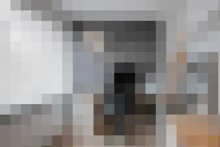 Venuslaan 525 Eindhoven thumbnail 22