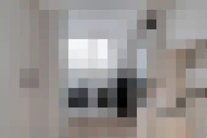 Venuslaan 525 Eindhoven thumbnail 27