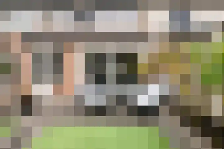 Venuslaan 525 Eindhoven thumbnail 36