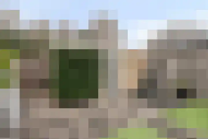 Venuslaan 525 Eindhoven thumbnail 37