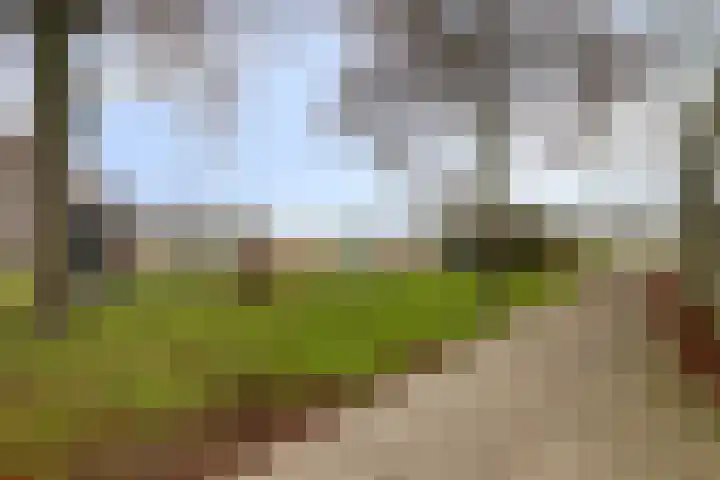 Venuslaan 525 Eindhoven thumbnail 39